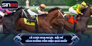 Cá Cược Đua Ngựa - Bật Mí Cách Xuống Vốn Hiệu Quả Nhất