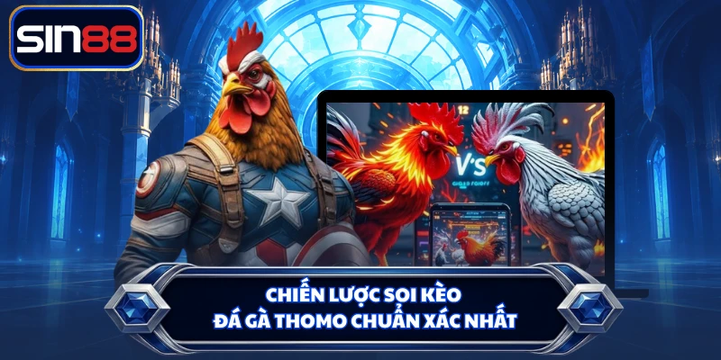 Chiến lược soi kèo đá gà Thomo chuẩn xác nhất