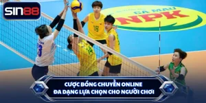 Cược Bóng Chuyền Online Đa Dạng Lựa Chọn Cho Người Chơi