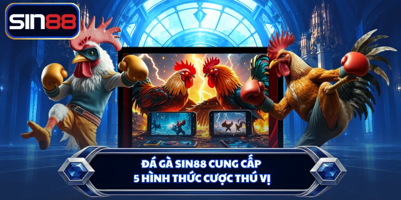 Đá gà SIN88 cung cấp 5 hình thức cược thú vị
