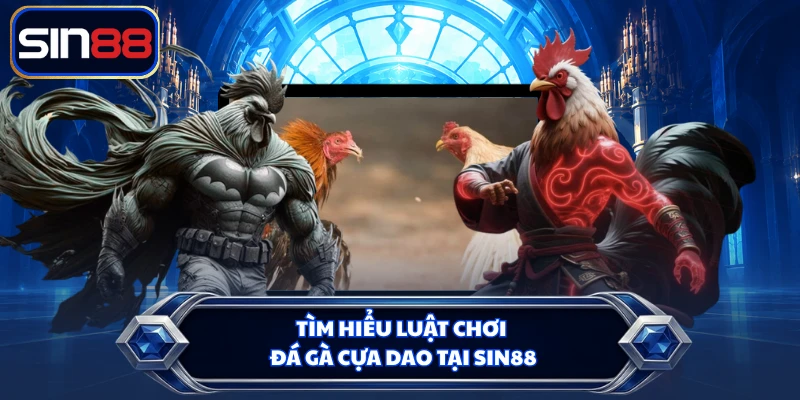 Tìm hiểu luật chơi đá gà cựa dao tại SIN88